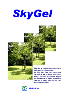 SkyGel English 13.08