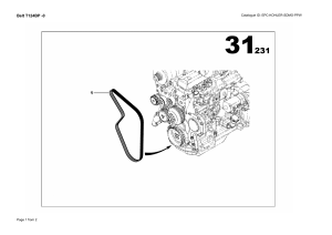 Belt T124BP -0