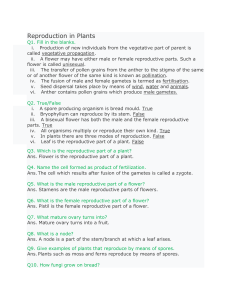 Reproduction in plants