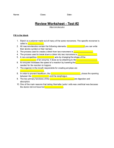 Review Worksheet - Test #2- Macromolecules 