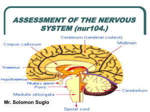 ASSESSMENT OF THE NERVOUS SYSTEM (230 nurs