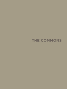 The Commons BLDGA Realtor Package