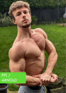 Workout Plan PPL x Arnold