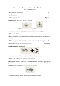 Claves para identificar insectos (1)