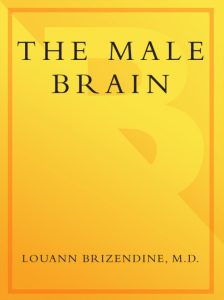 The-Male-Brain