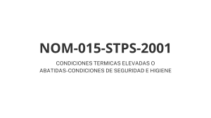 NOM-025-STPS-2008