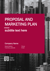 Proposal and Marketing plan - 