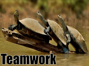 teamwork2-160303073432