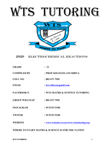 Electrochemical Reactions: Grade 12 Tutoring Material