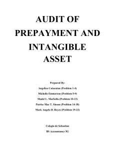 Audit Problems: Prepayments & Intangible Assets