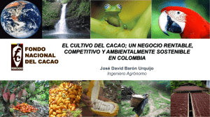 EL CULTIVO DEL CACAO; UN NEGOCIO RENTABLE, COMPETITIVO Y AMBIENTALMENTE SOSTENIBLE EN COLOMBIA