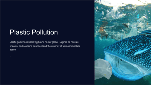 Plastic-Pollution