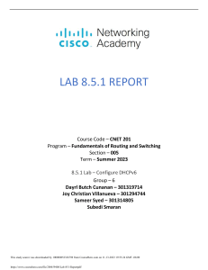 DHCPv6 Configuration Lab Report