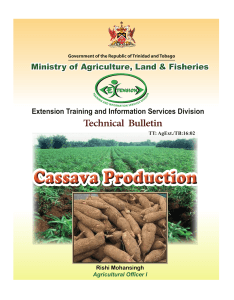 Cassava-Production compressed