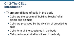 2. The Cell