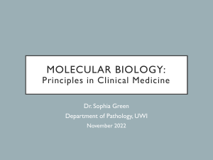 Molecular Biology - Principles in Clinical Medicine year1 sem1 Nov 2022