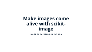 1-Image-Processing-in-Python-Chapter-1-Introducing-Image-Processing-and-scikit-image(3)