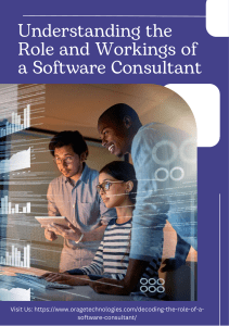 Understanding the Role and Workings of a Software Consultant
