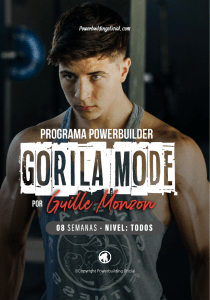GORILAMODE-Guille-Monzon-1
