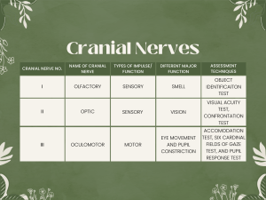 Cranial Nerves (Summarized in a Table)