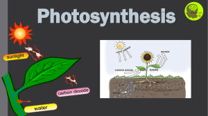 Ch. 4 Photosyntesis PPT