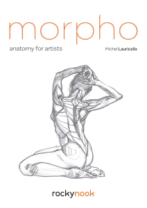 Michel Lauricella - Morpho - Anatomy for Artists