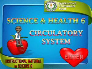 Circulatory System IM