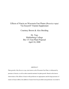 Effects of Niacin on Wisconsin Fast Plants