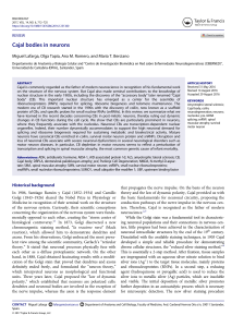 Cajal Bodies in Neurons: Structure, Function & Neurodegeneration