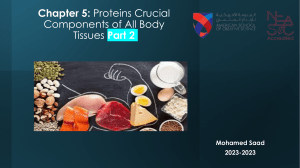 Chapter 5- Proteins Crucial Components of All Body Tissues part 3