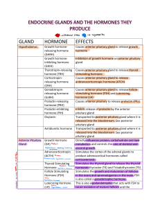 ENDOCRINE GLANDS AND THE HORMONES THEY PRODUCE