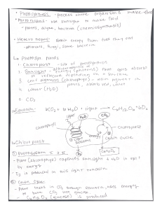 Photosynthesis Notes