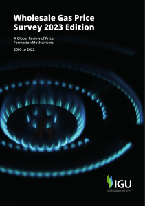 Final-v2-Wholesale-Gas-Price-Survey-2023-Edition