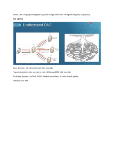 Public DNS