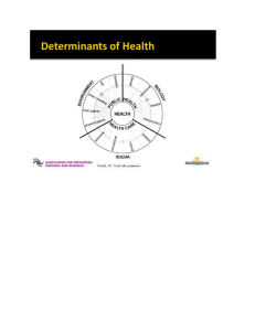 determinants of health-2