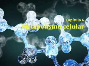 9-Metabolismo-celular2 (1)