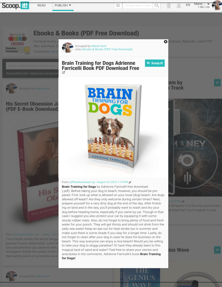 Brain Training For Dogs PDF Book (Adrienne Farricelli)