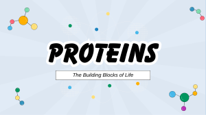 Chapter 3 - Proteins