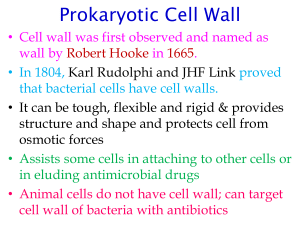 Bacterial Cell Wall Polys
