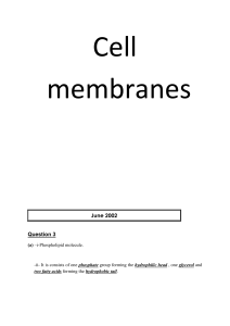 3-membranes P2 answer