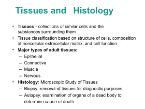 TISSUE-AND-HISTOLOGY.pptx
