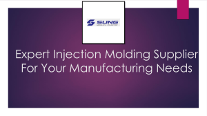 Professional Injection Molding Supplier For Mass Production 