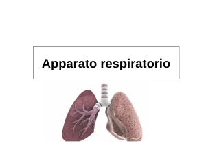 19 app. respiratorio 180520 parte I