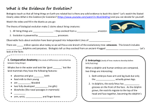 16.1 Evidence for Evolution Stated Clearly worksheet