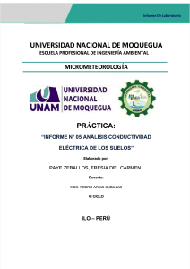 pdf-informe-de-conductividad-electrica-del-suelo-paye-zeballos-fresia compress