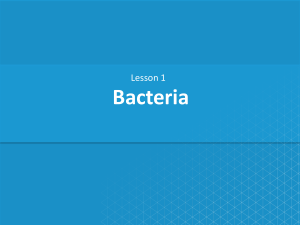 CA Lesson 1 Bacteria