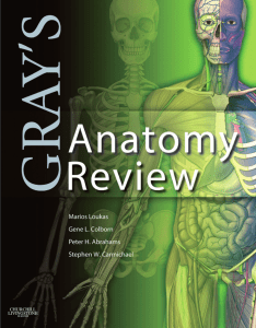 THE BOOK   Grays Anatomy Review Abrahams Peter H