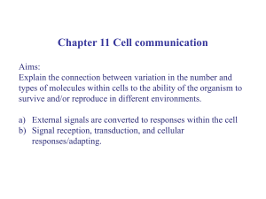 11 Cell Communication
