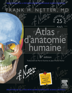 NETTER - Atlas d'anatomie humaine (6e Edition) - ELSEVIER MASSON