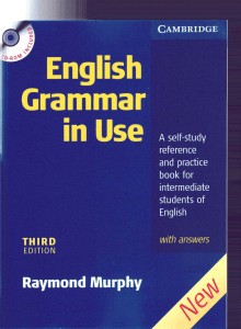 English Grammar in Use (Interm)3rd Edition